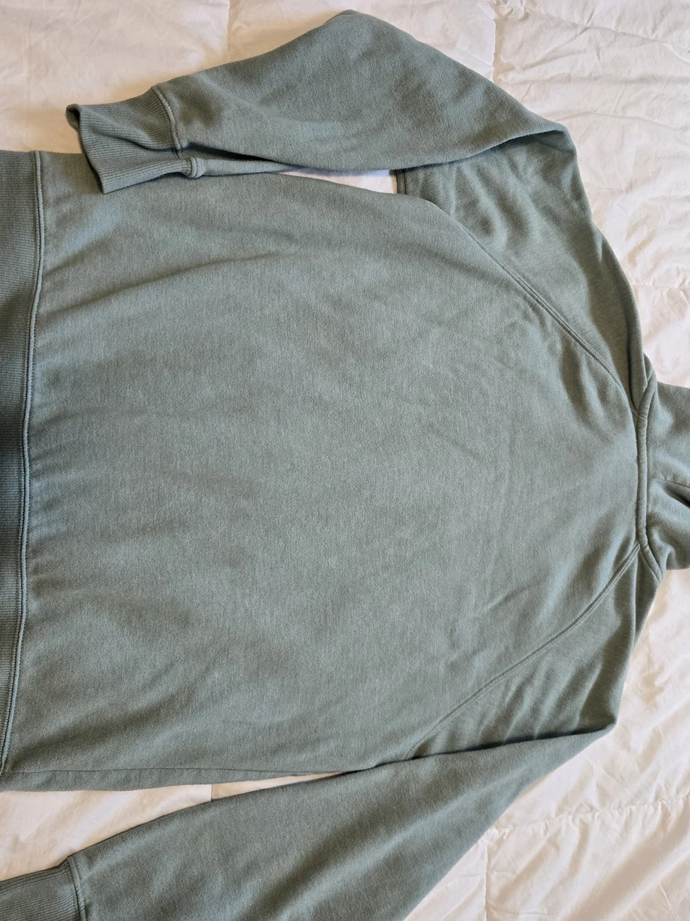 The North Face Men’s Sage Green Logo Hoodie0786